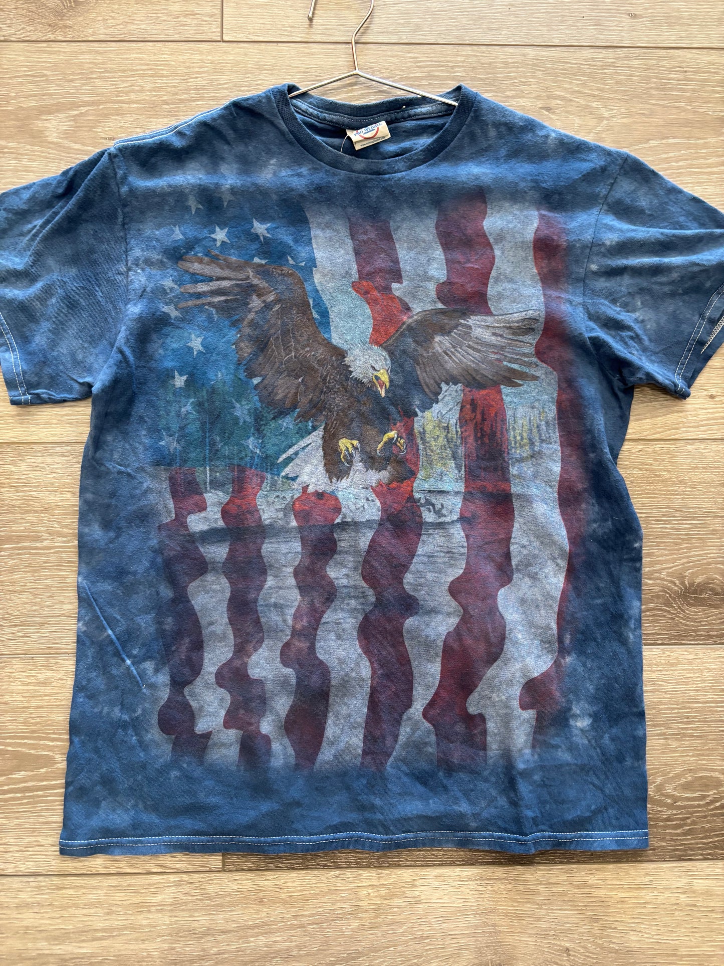 Bald Eagle/American Flag