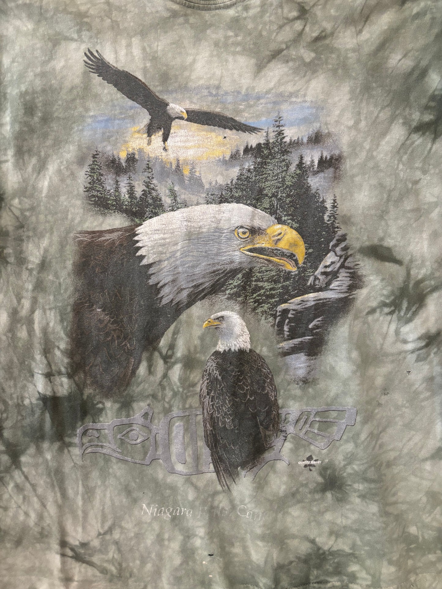 Bald Eagles