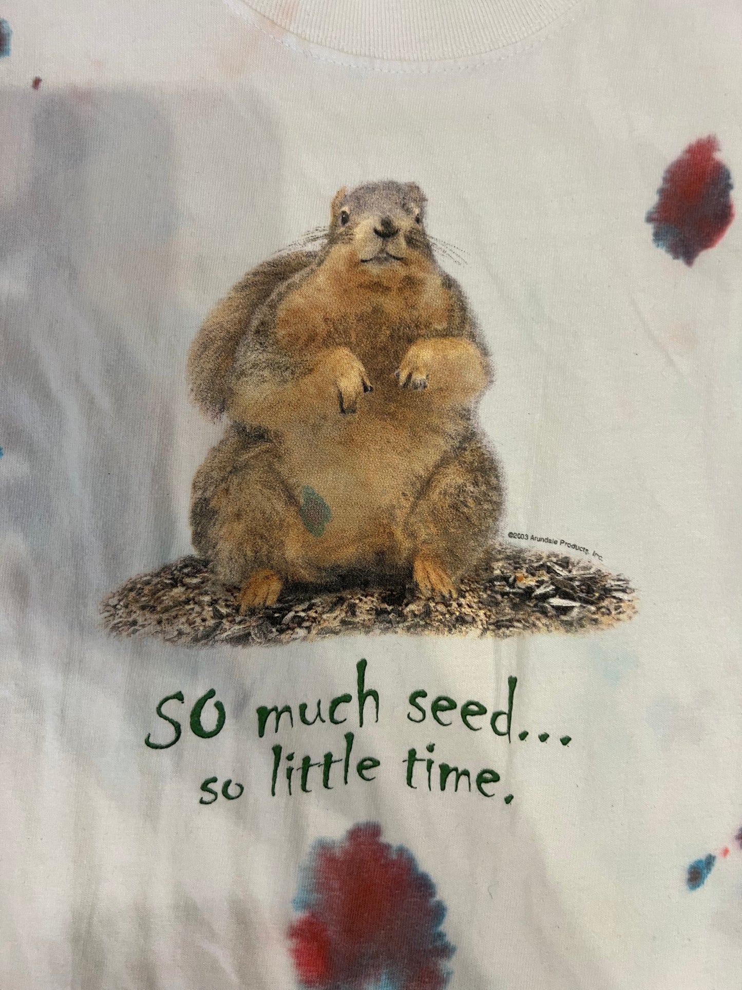 Squirrel