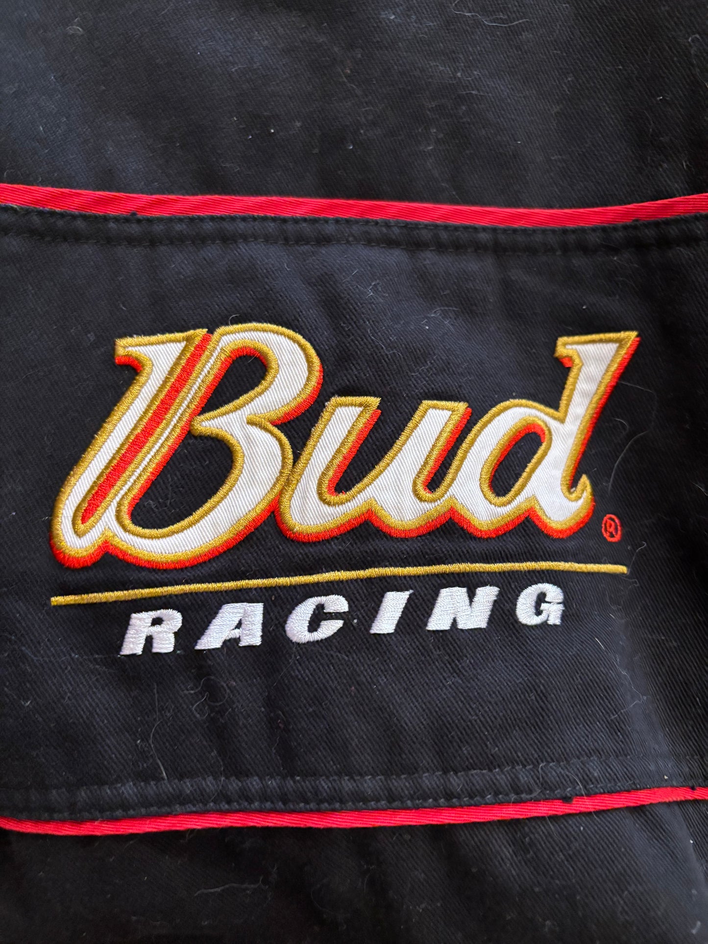 Bud Racing Dale Jr.