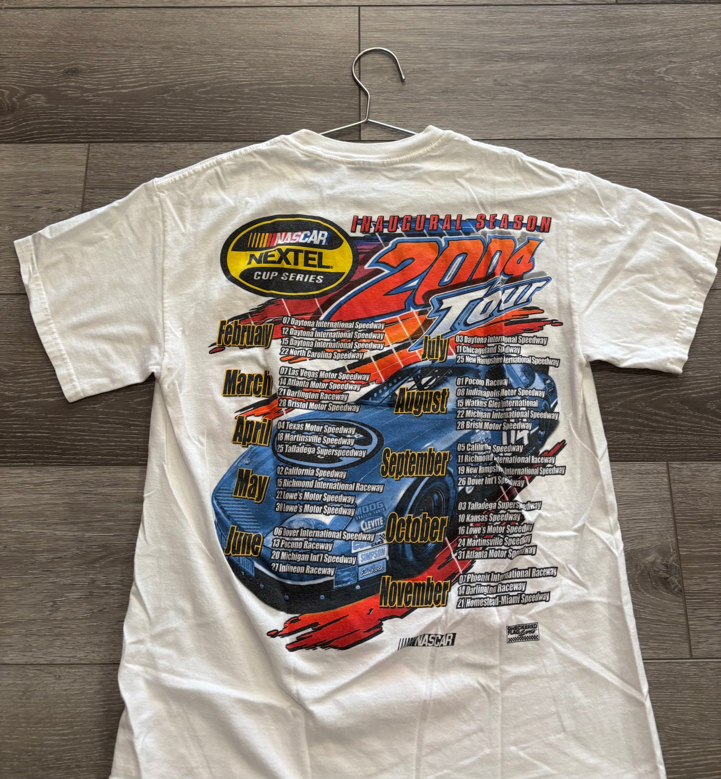 2004 NASCAR Series