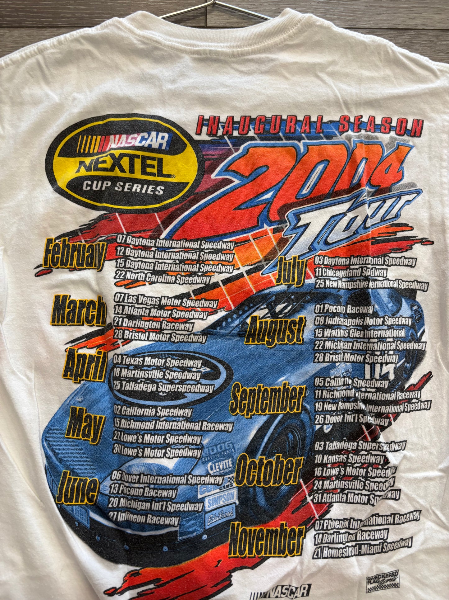 2004 NASCAR Series