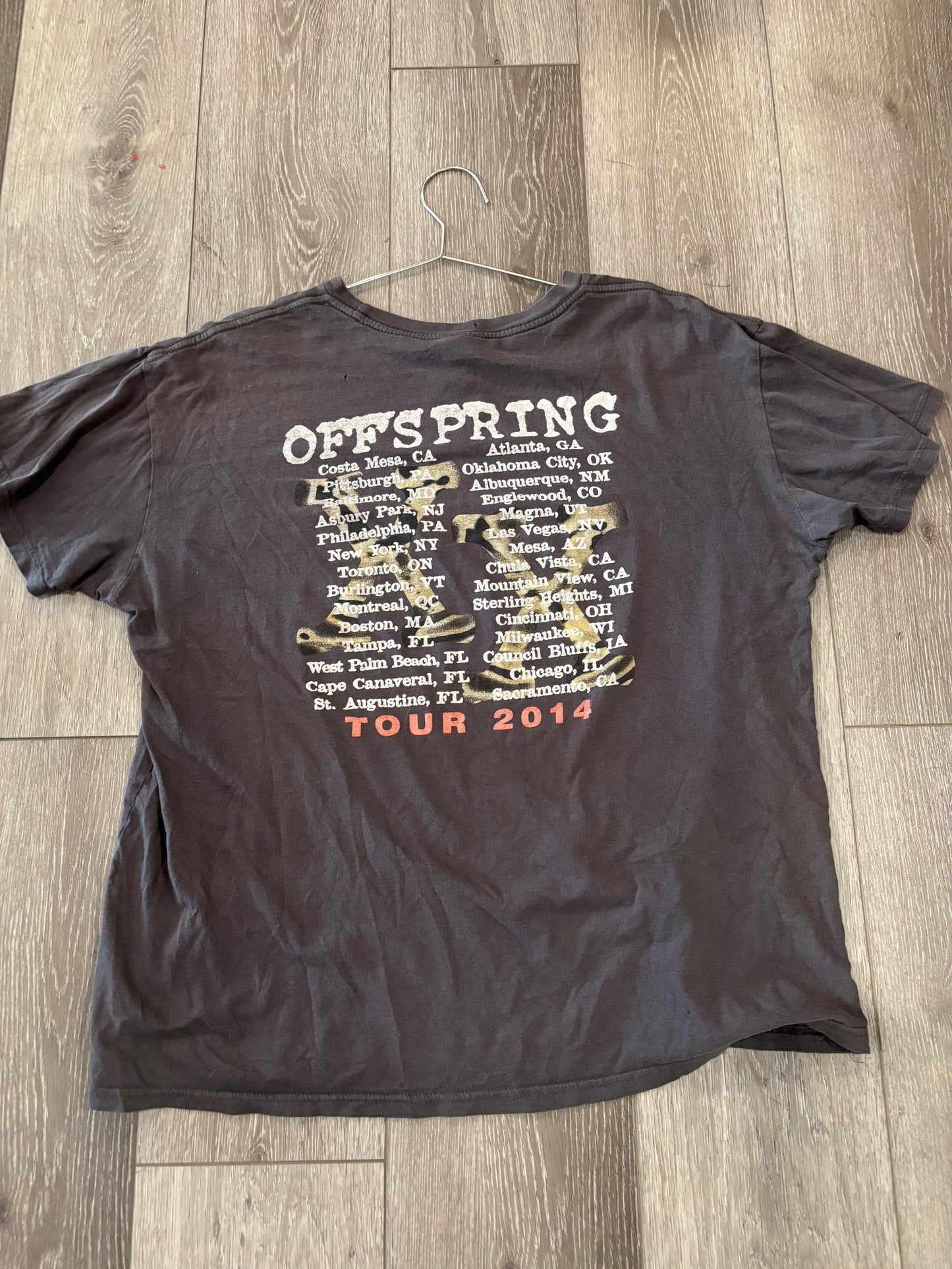 Offspring Tour 2014