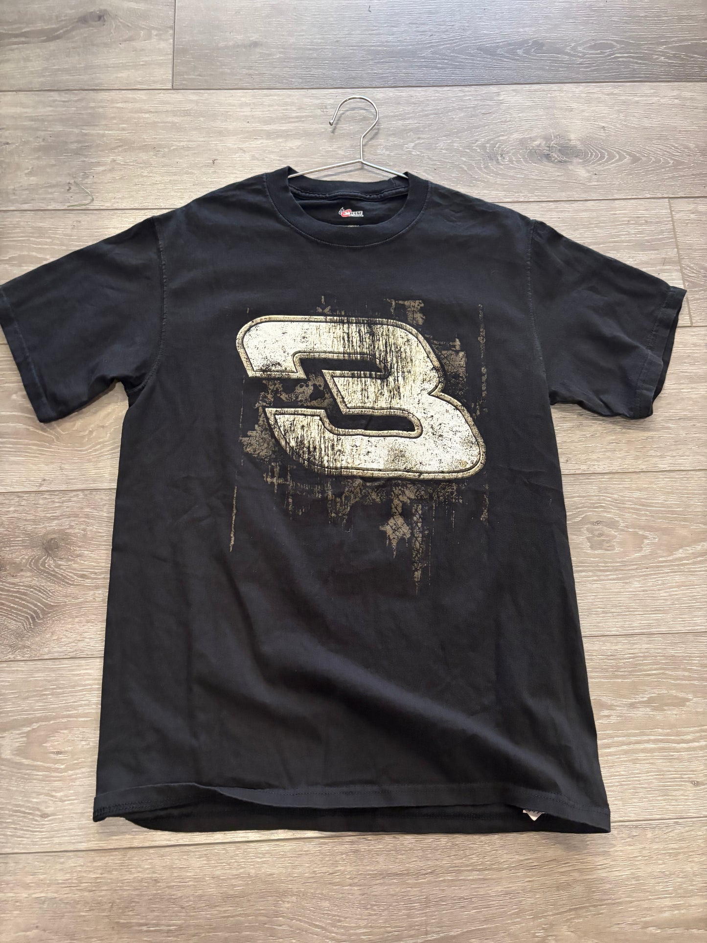 Dale Earnhardt