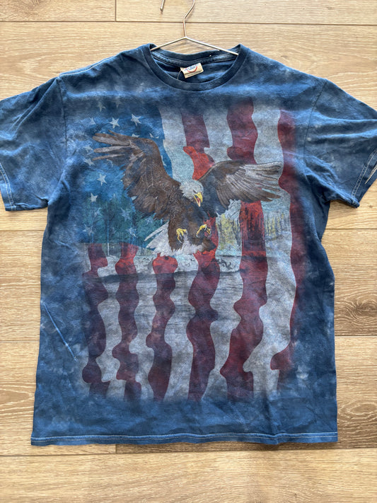Bald Eagle/American Flag
