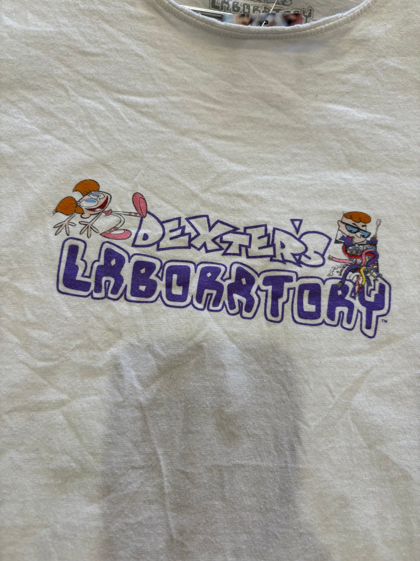 Dexter's Laboratory