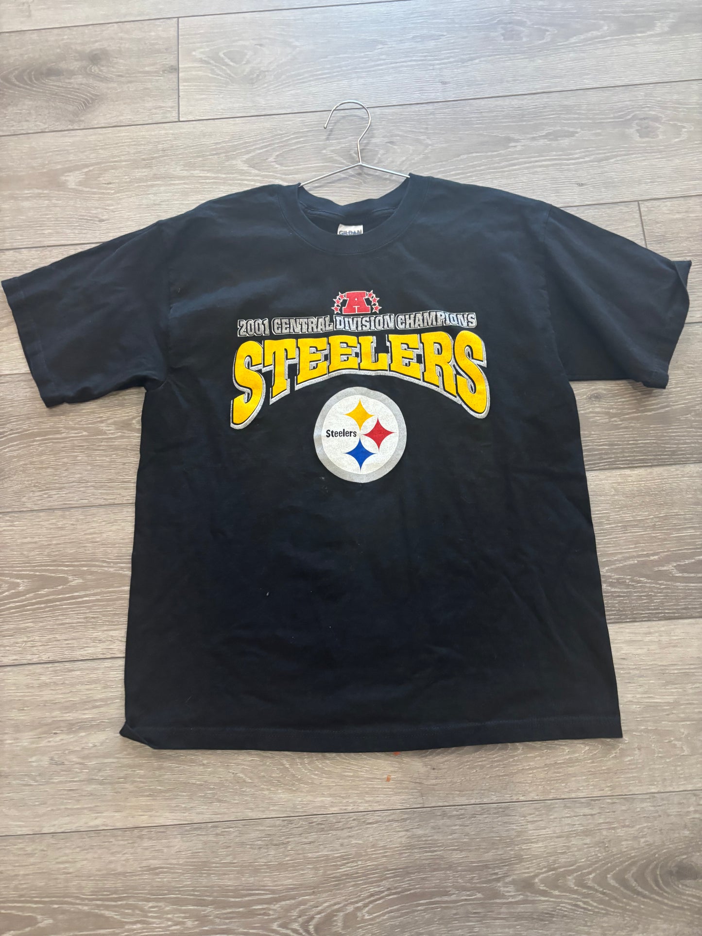 Steelers 2001 Division Champs