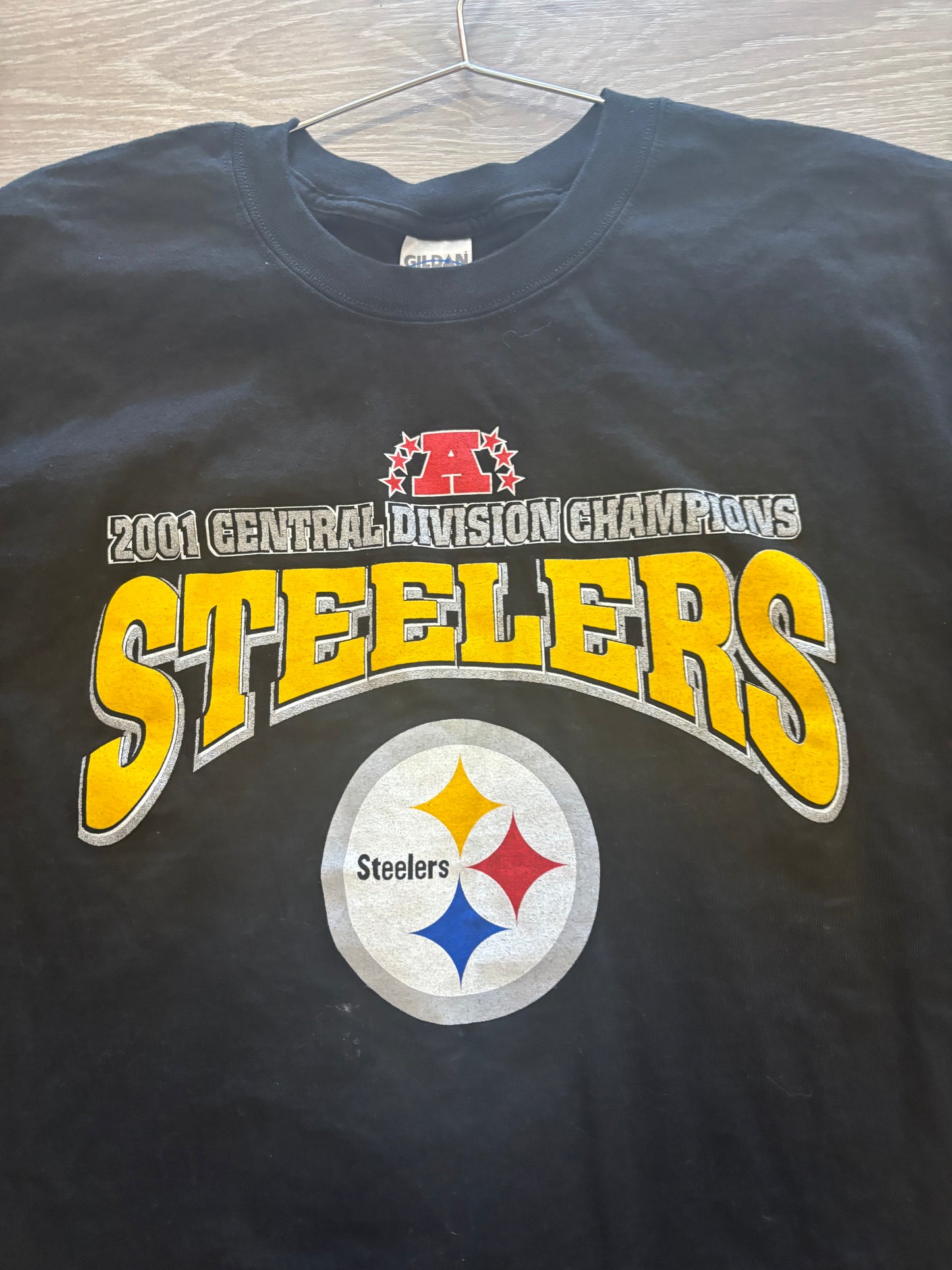 Steelers 2001 Division Champs