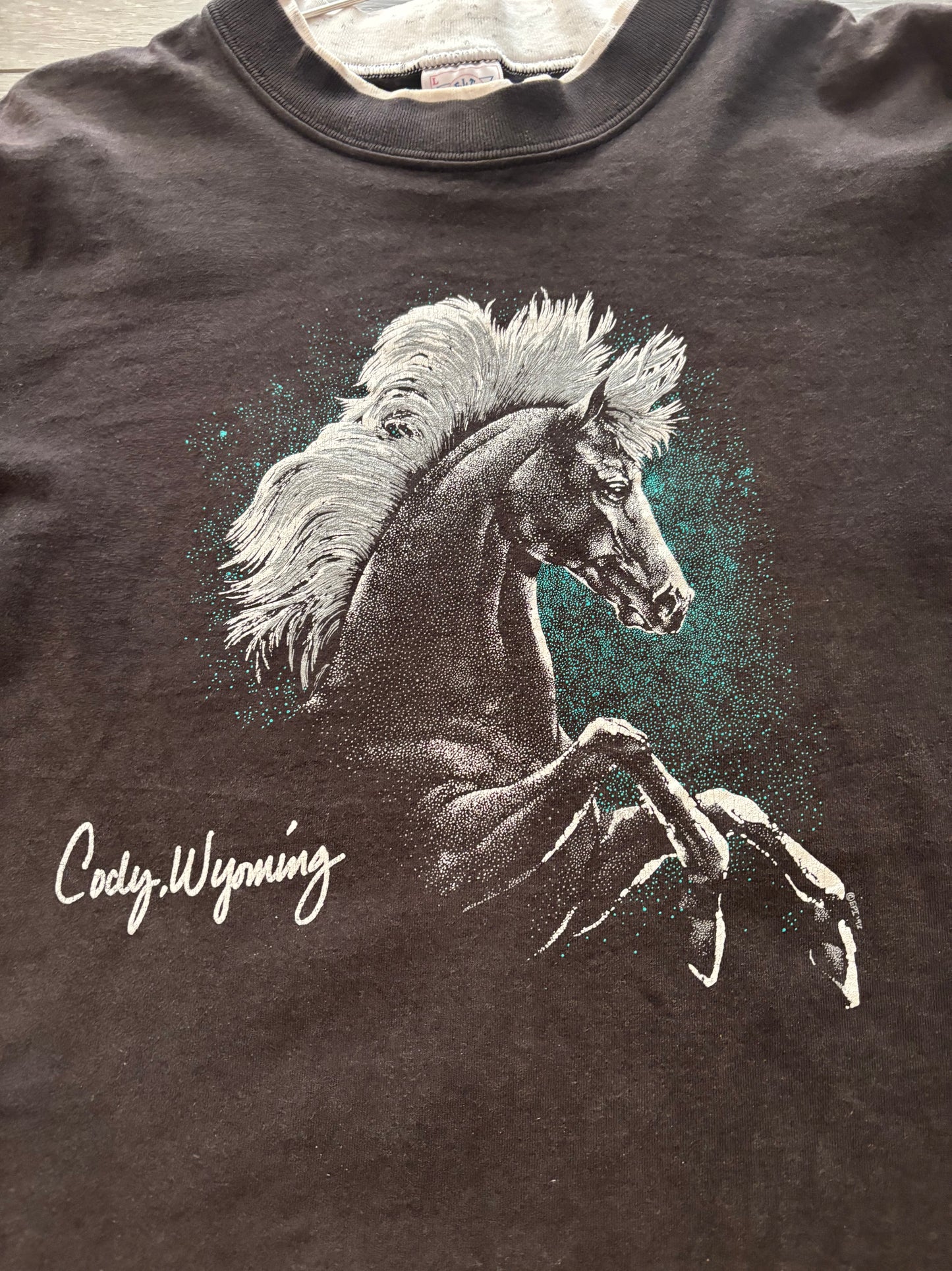 Cody, Wyoming 1992