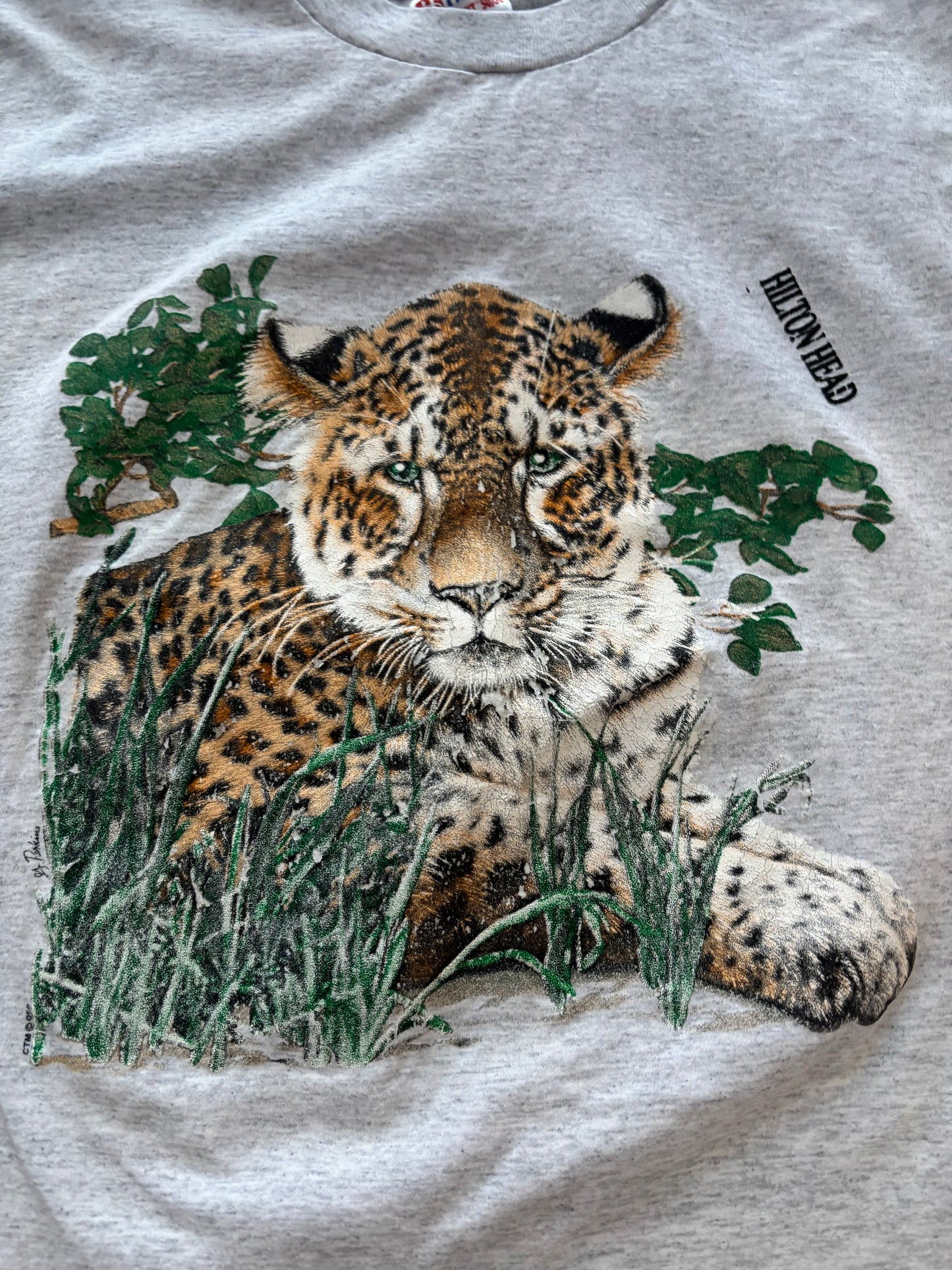 Hilton Head Leopard