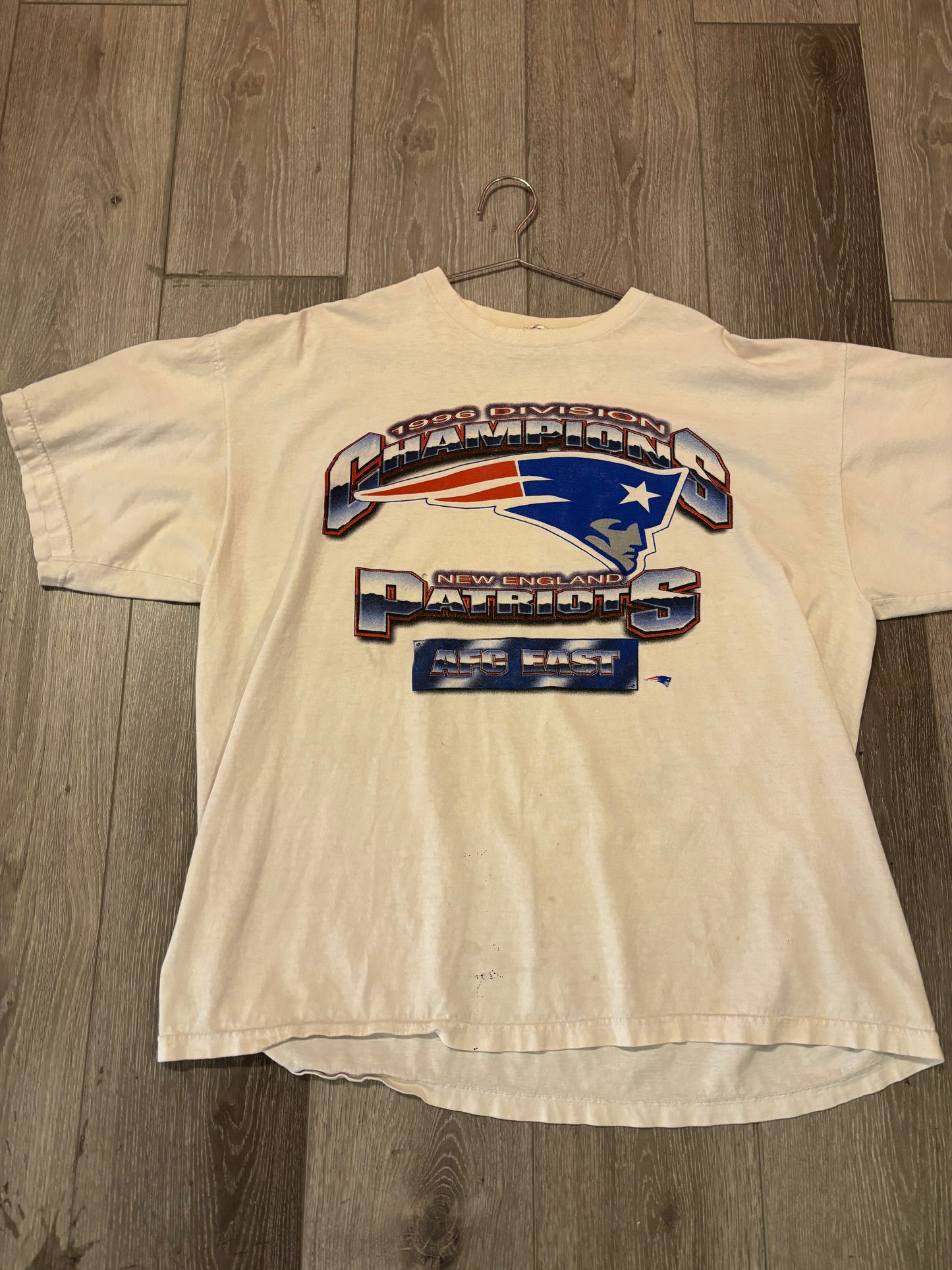 Patriots 1996 Division Champs