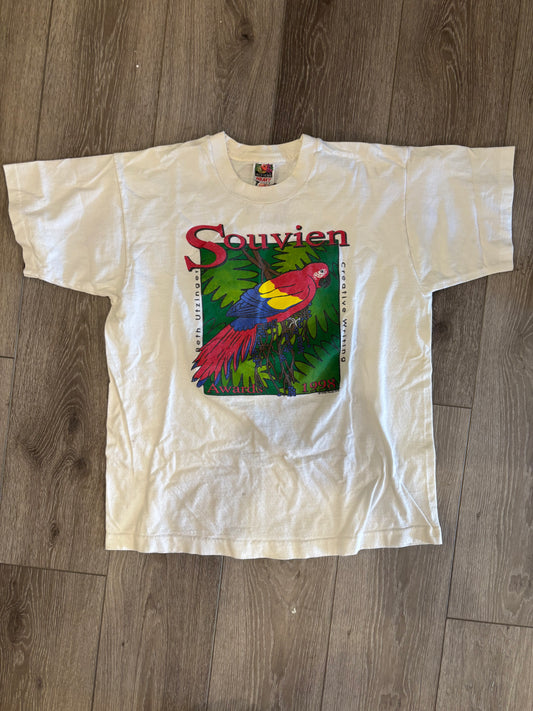 Souvien Awards 1993