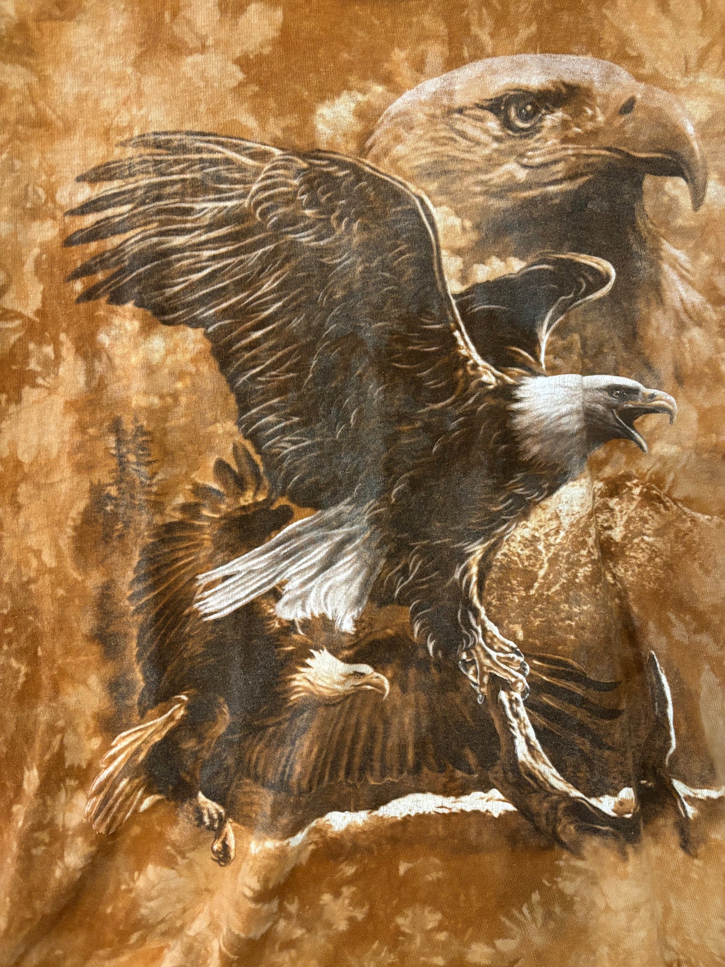 Bald Eagles
