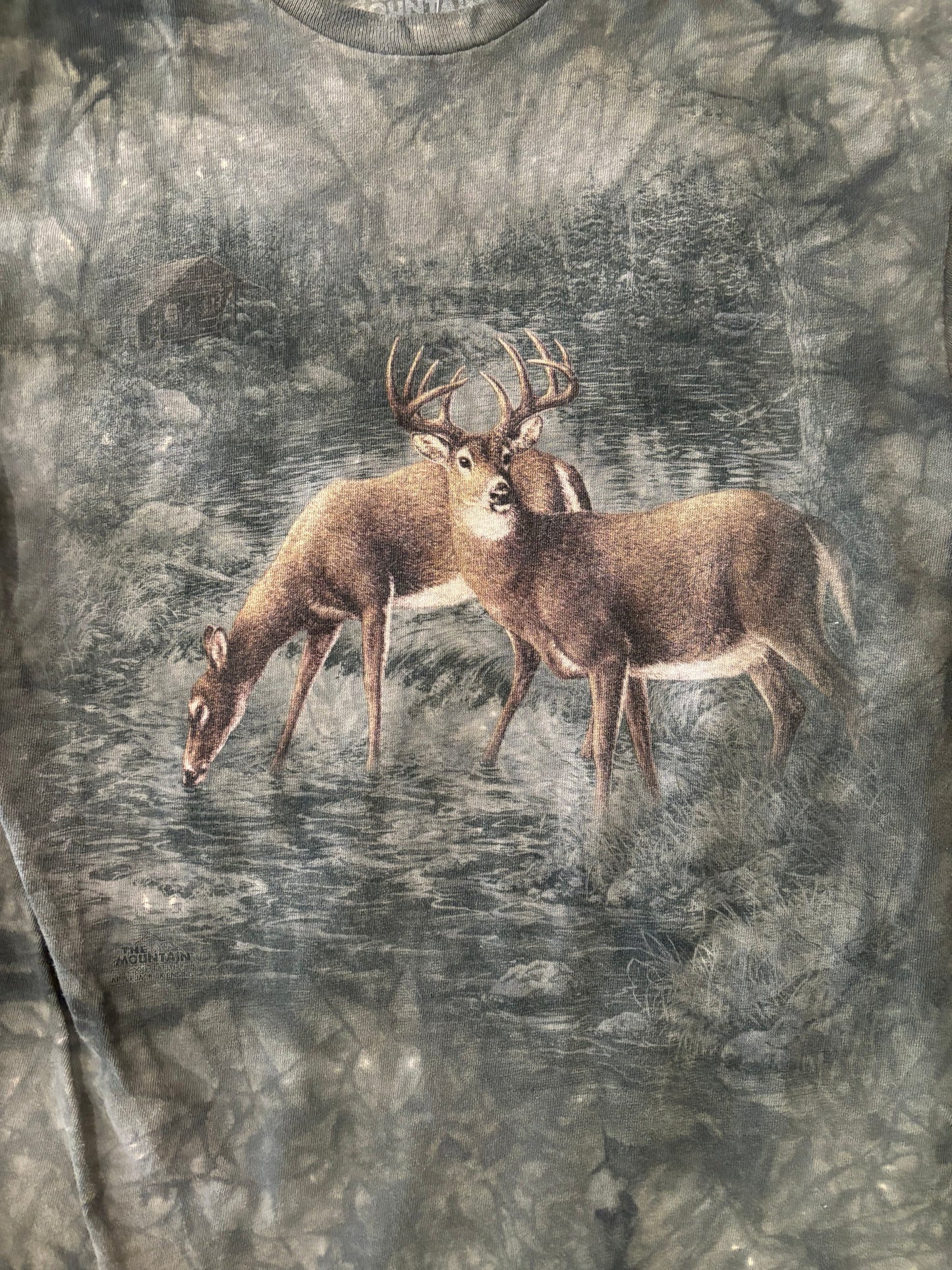 Deer
