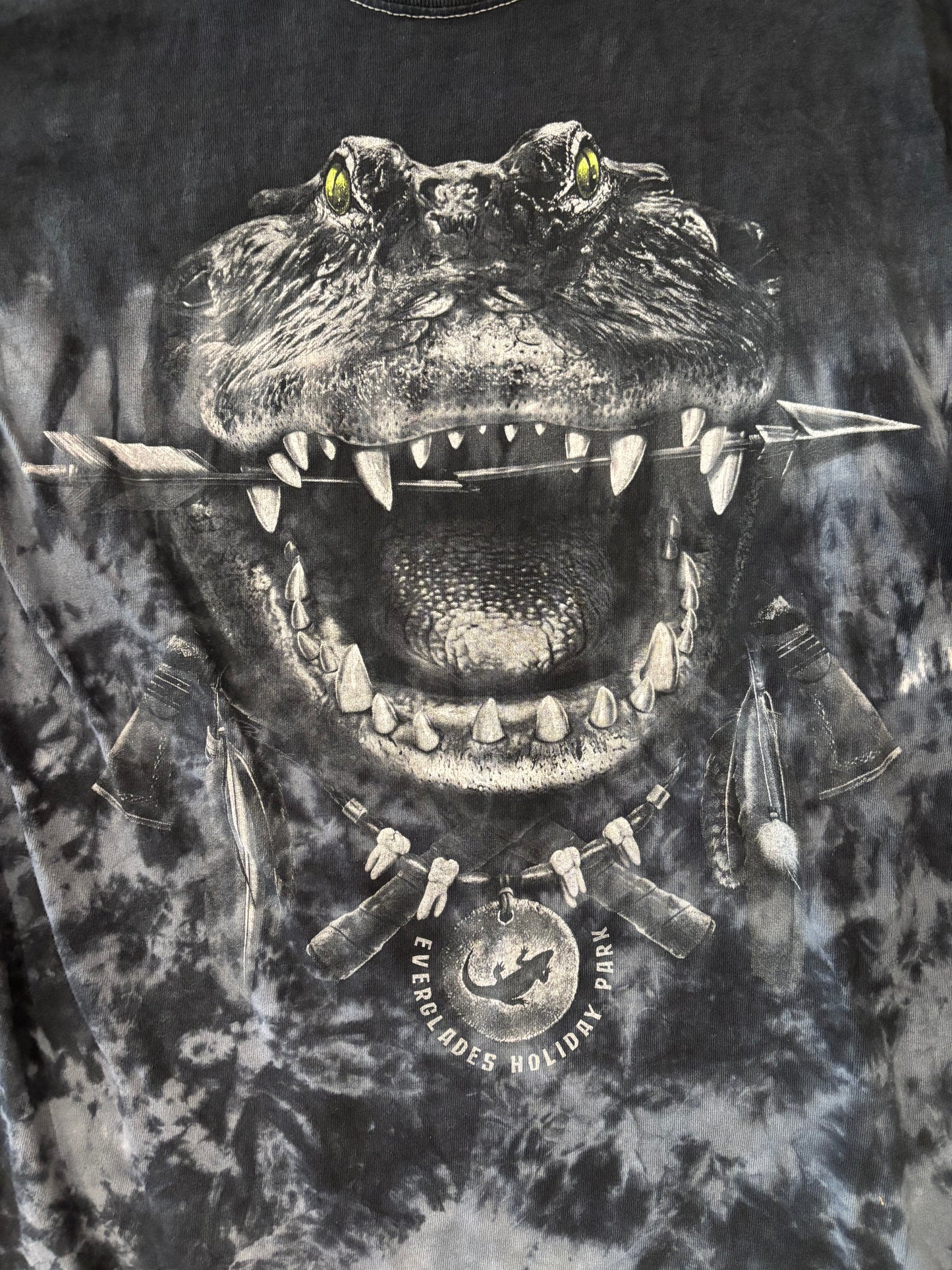 Alligator