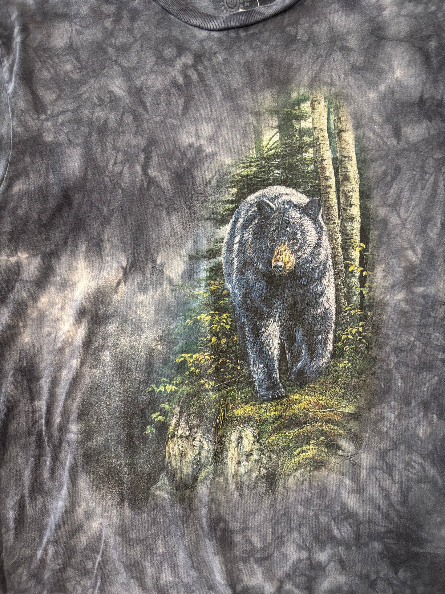 Black Bear