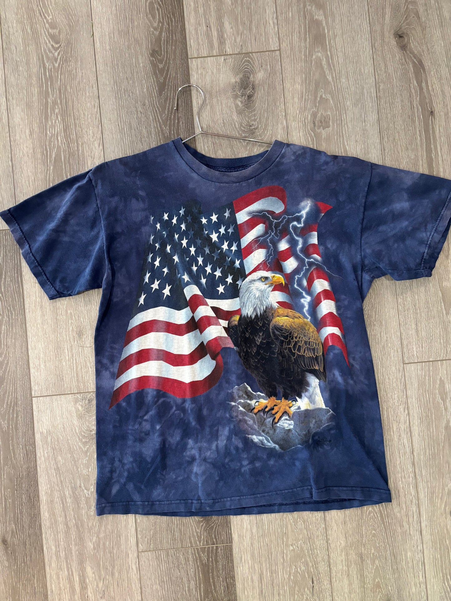 Bald Eagle/American Flag