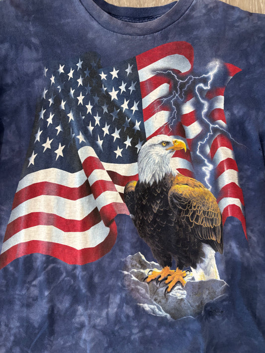 Bald Eagle/American Flag