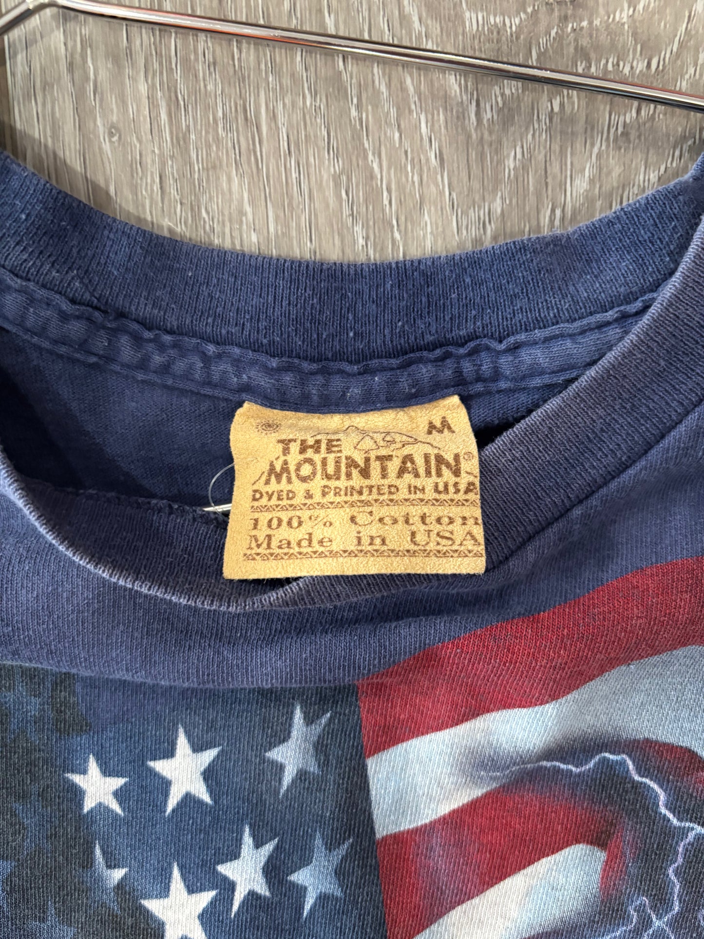 Bald Eagle/American Flag