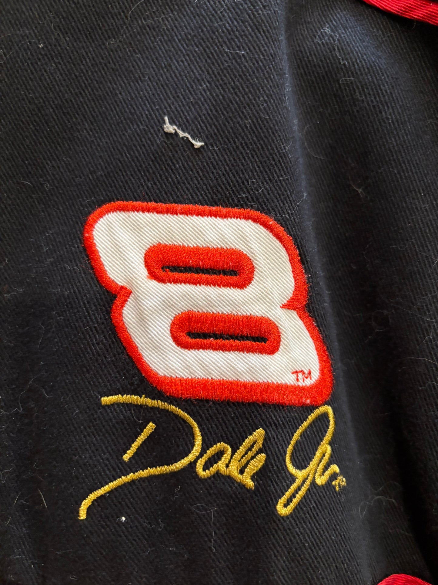 Bud Racing Dale Jr.