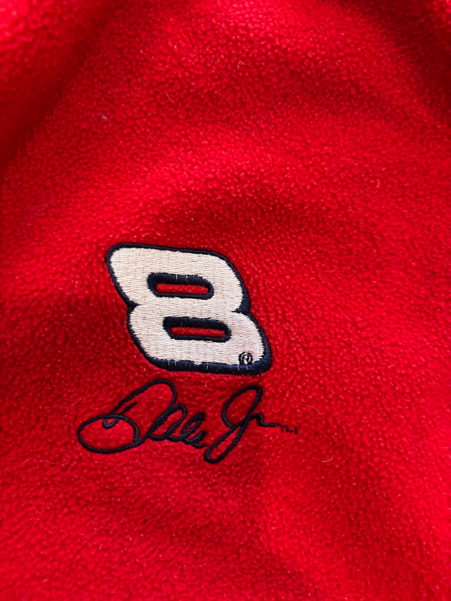 Budweiser Dale Jr.