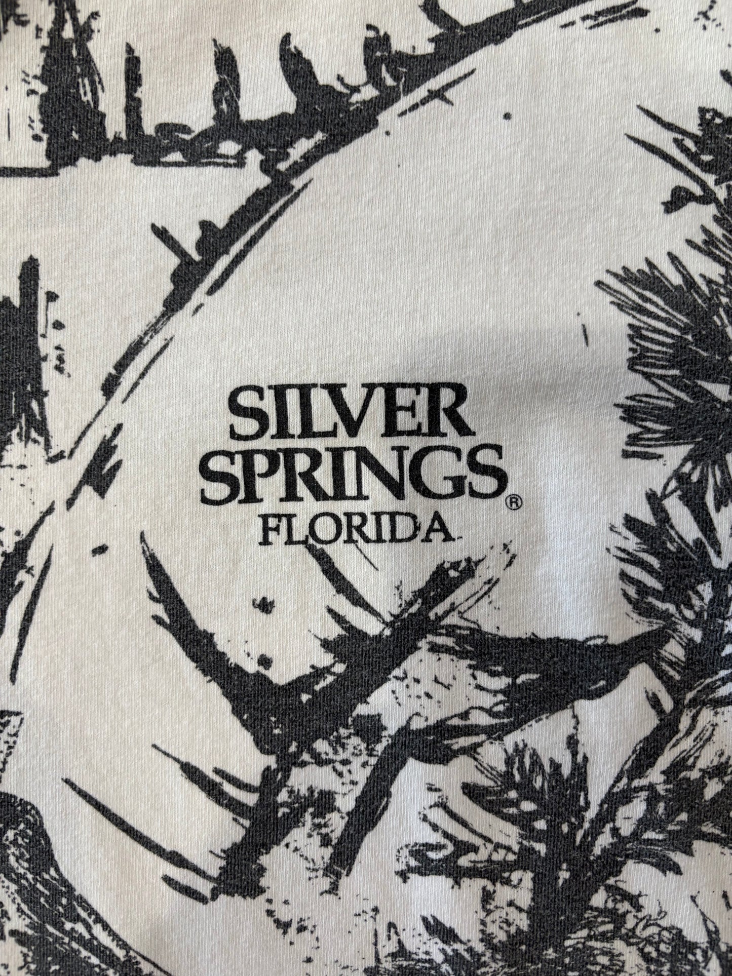 Silver Springs, Florida