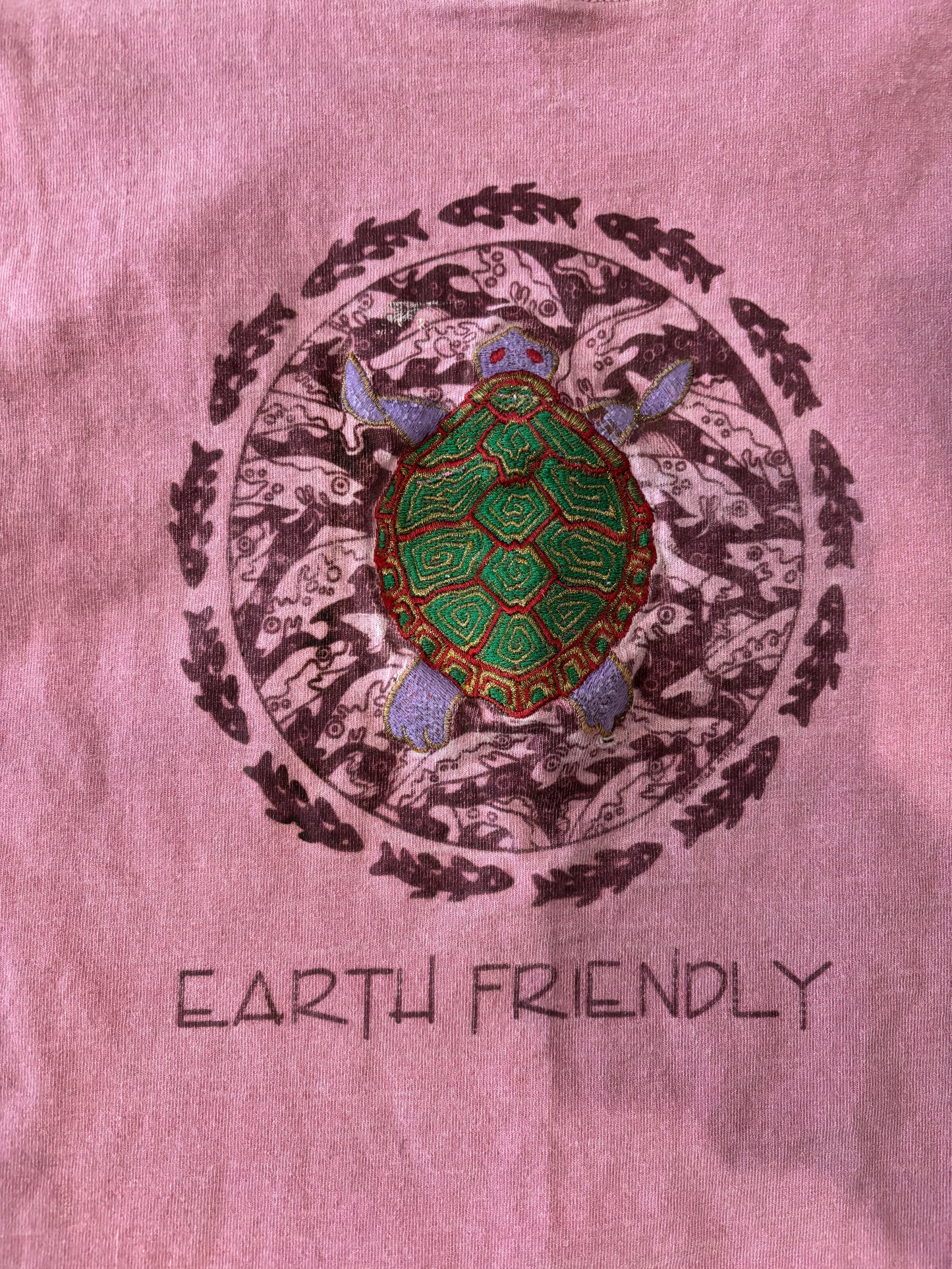 Earth Friendly Turtle