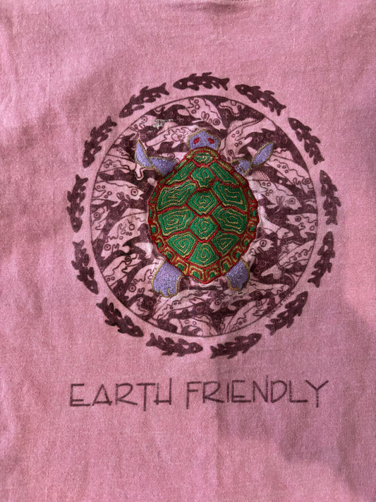 Earth Friendly Turtle