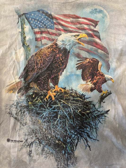 Bald Eagles w/ American Flag