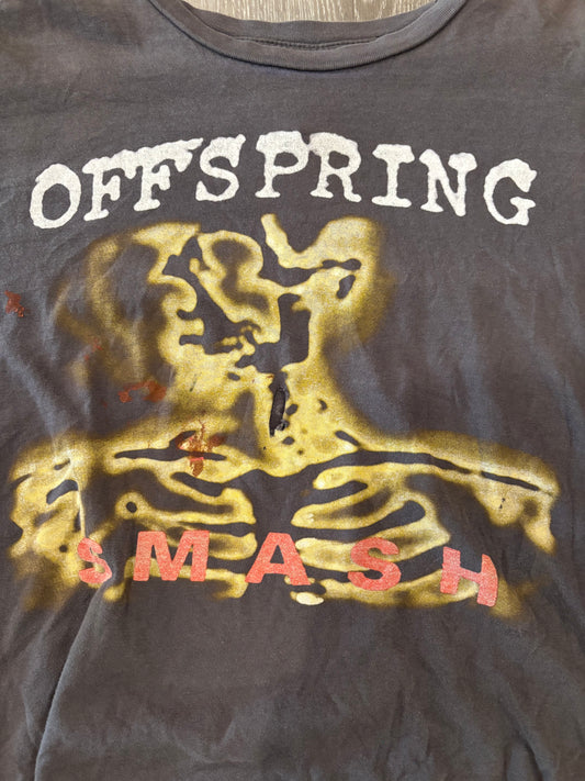 Offspring Tour 2014