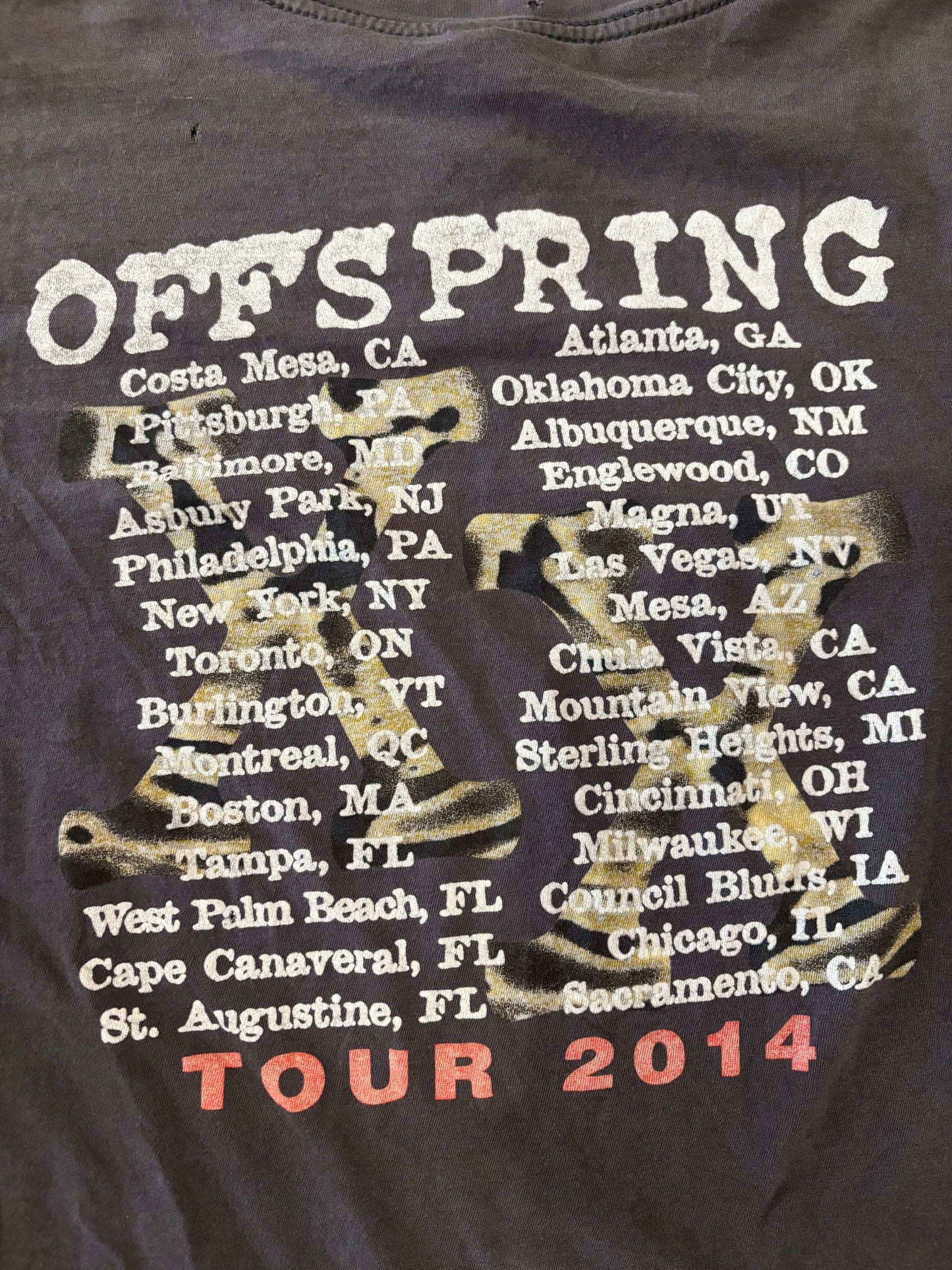 Offspring Tour 2014