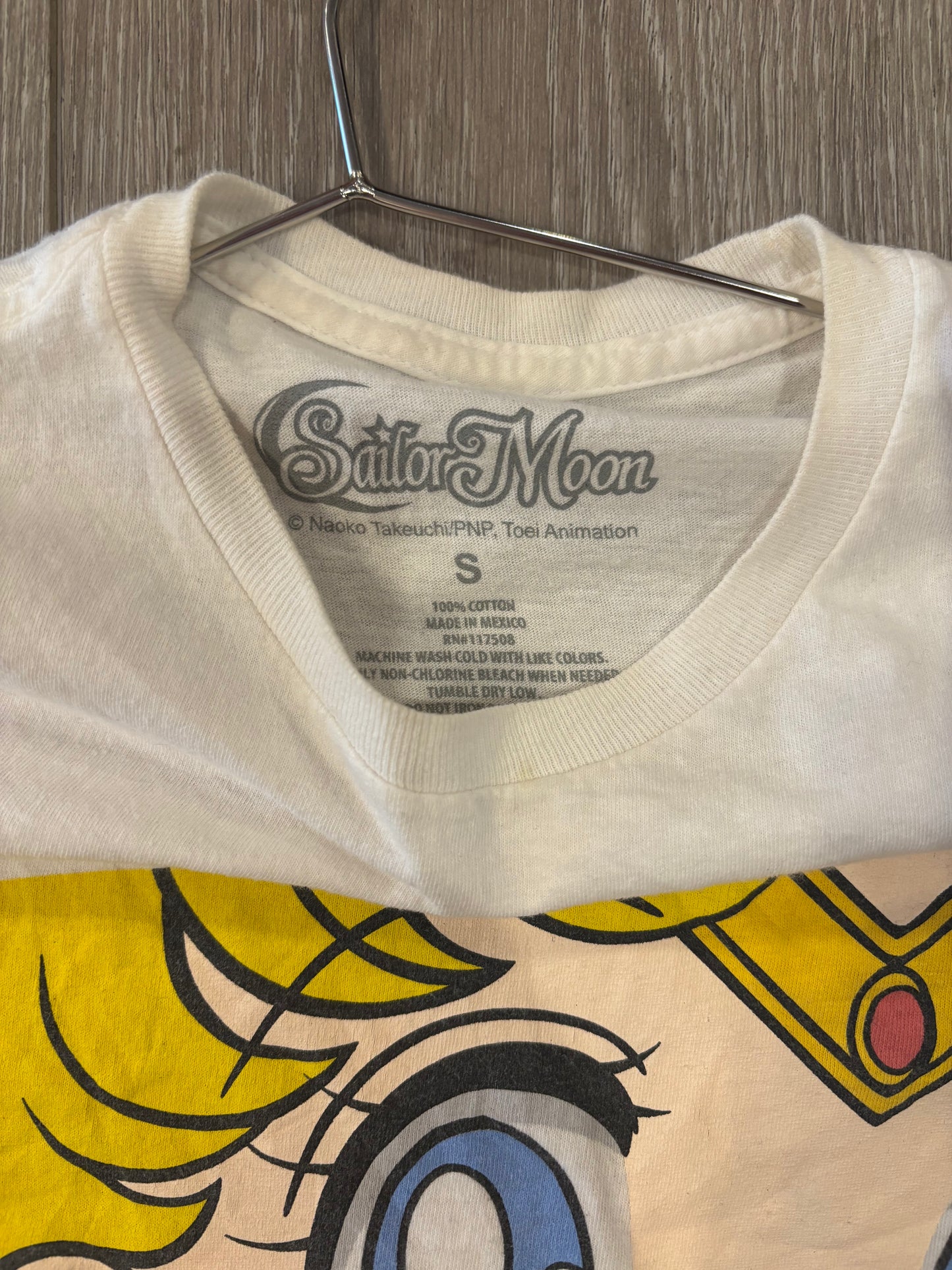 Sailor Moon Anime