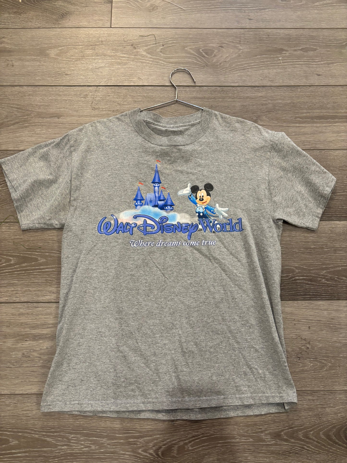 Walt Disney World