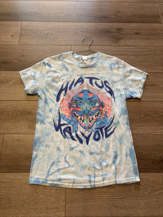 Hiatus Kaiyote