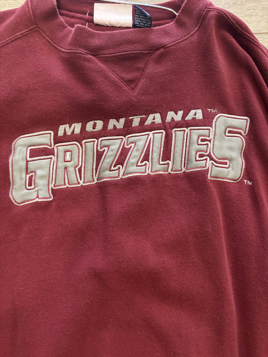 Montana Grizzlies