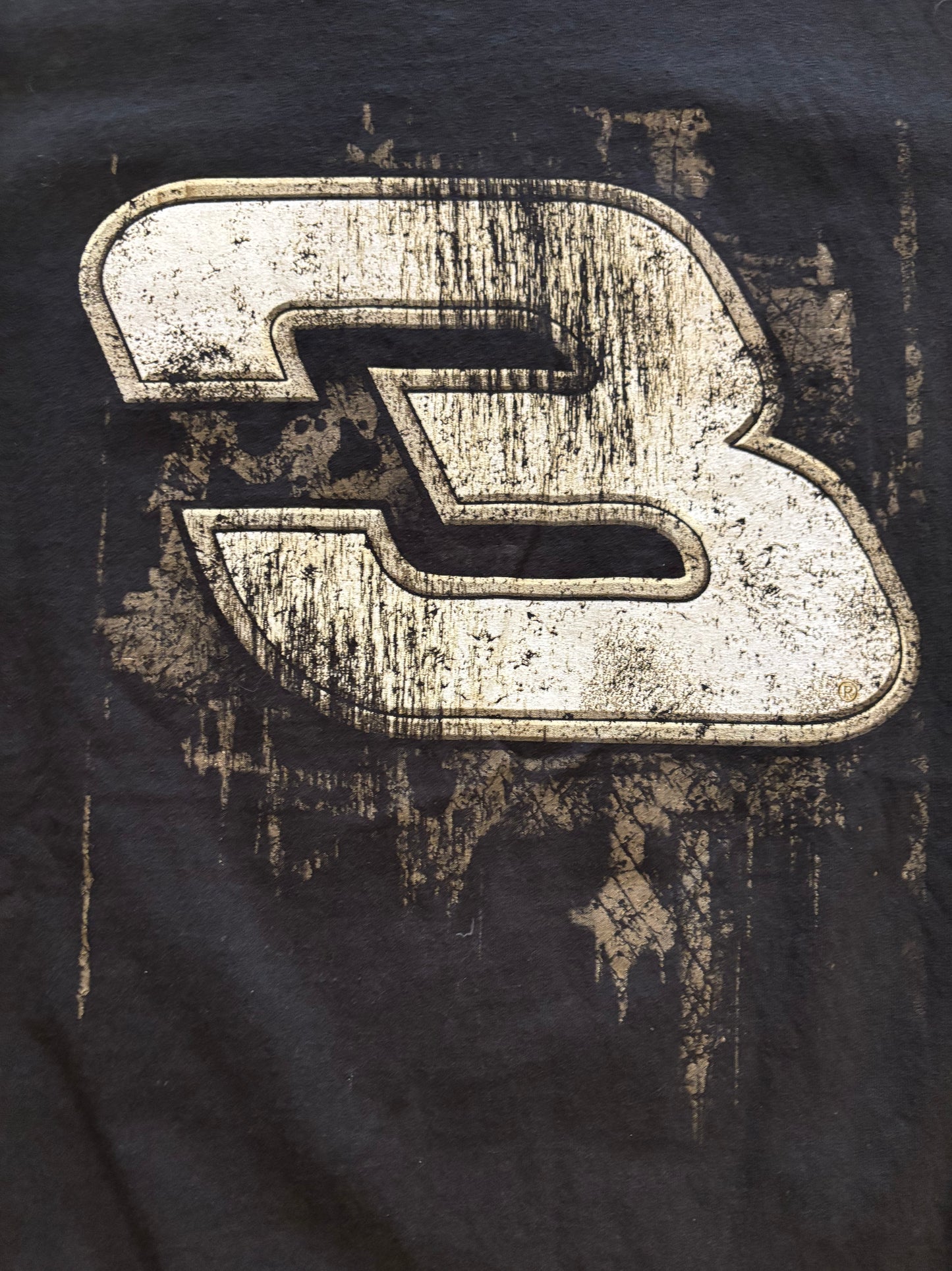 Dale Earnhardt